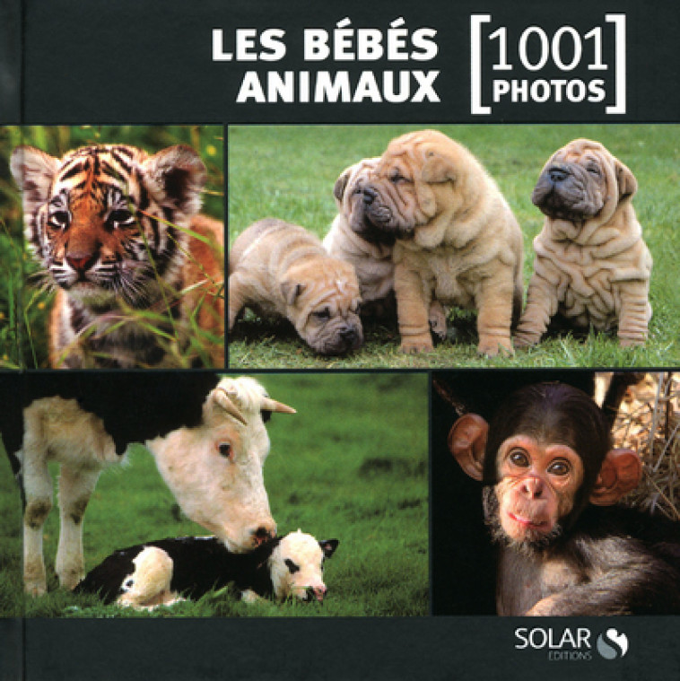 Les bébés animaux en 1001 photos - NE -  Collectif - SOLAR