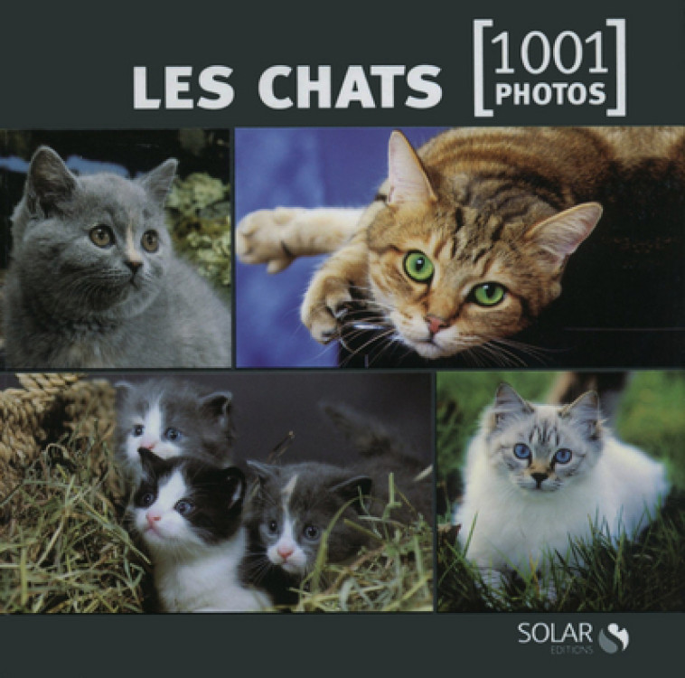 Les chats en 1001 photos - NE -  Collectif - SOLAR