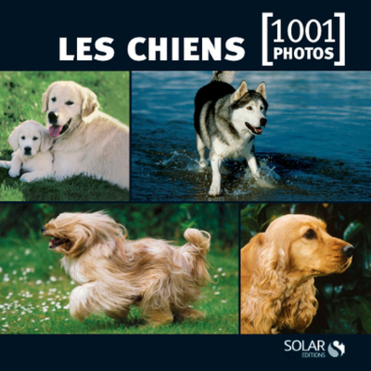 Les chiens en 1001 photos - ned - -  Collectif - SOLAR