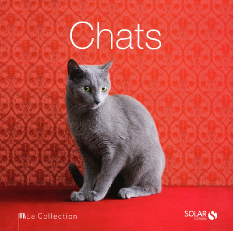 Chats - La Collection - Caterina Gromis di Trana - SOLAR