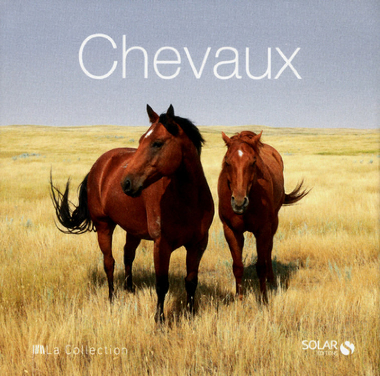 Chevaux - La Collection -  Collectif - SOLAR