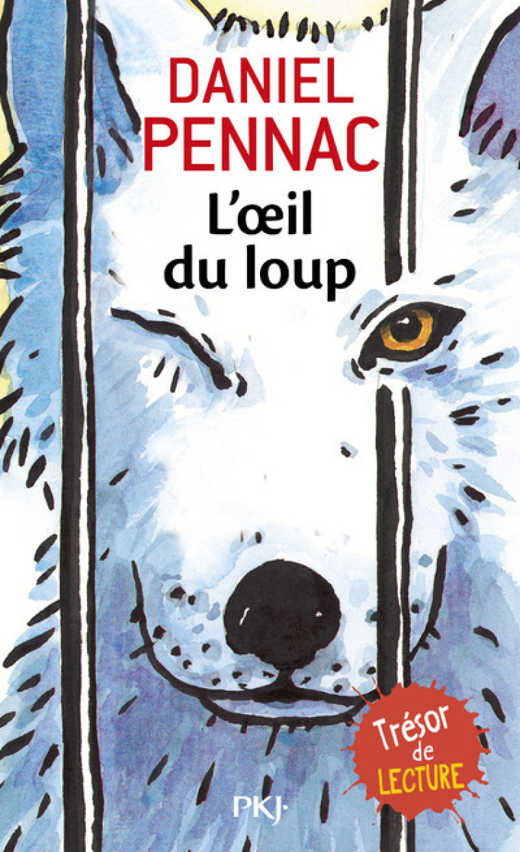 L'oeil du loup - Daniel Pennac - POCKET JEUNESSE