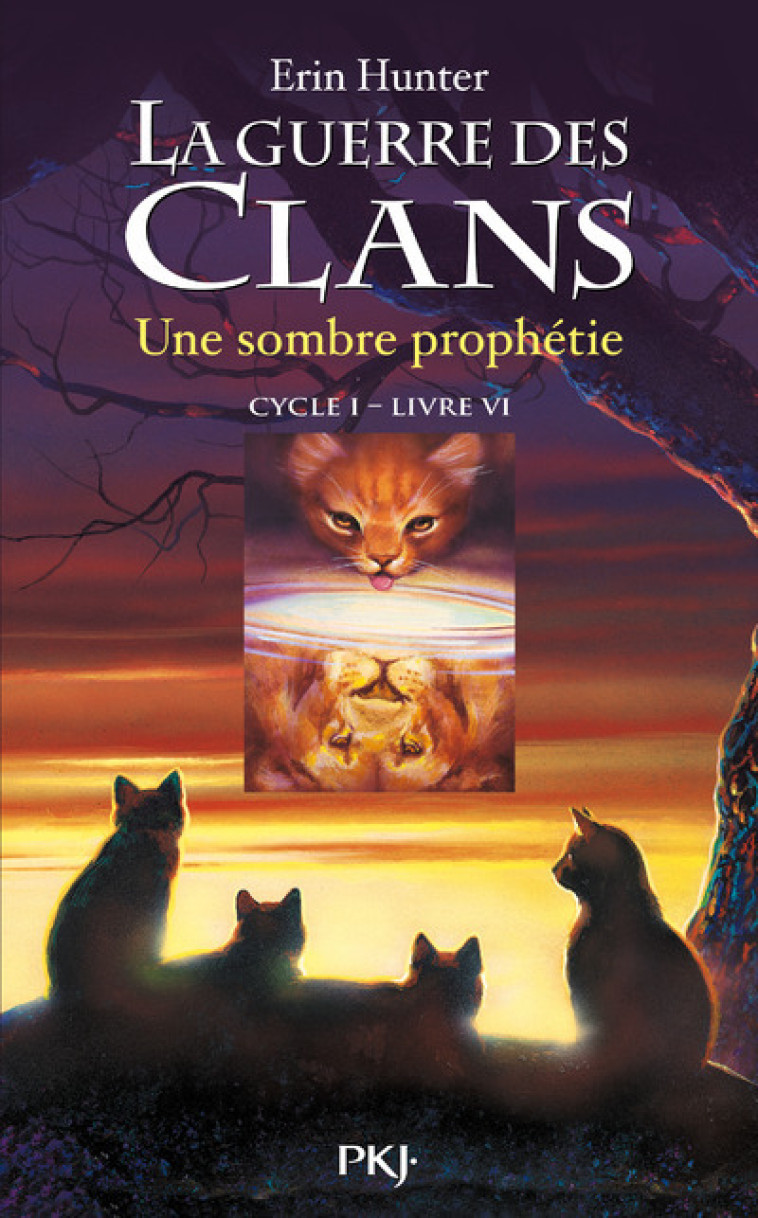 La guerre des Clans - cycle I - tome 6 Une sombre prophétie - Erin Hunter - POCKET JEUNESSE