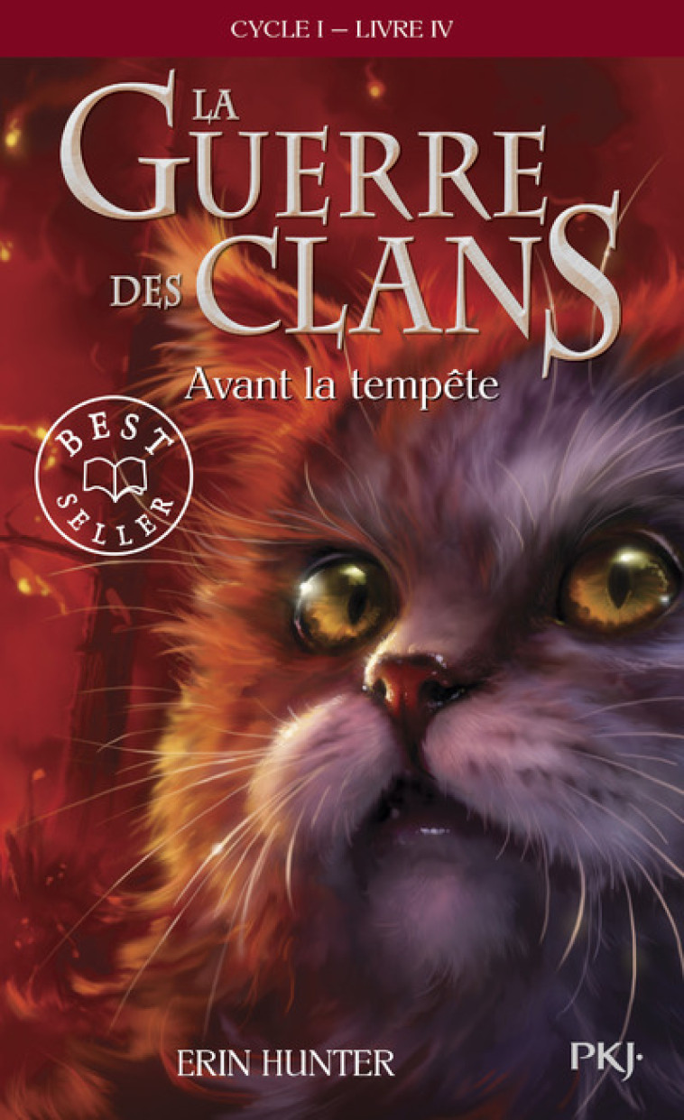 La guerre des Clans - cycle I - tome 4 Avant la tempête -poche- - Erin Hunter - POCKET JEUNESSE