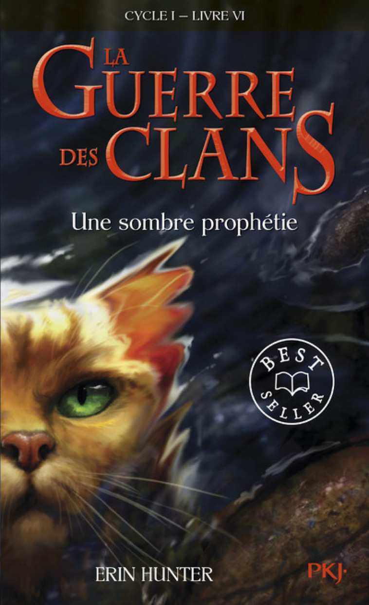 La guerre des Clans - cycle I - tome 6 Une sombre prophétie -poche- - Erin Hunter - POCKET JEUNESSE