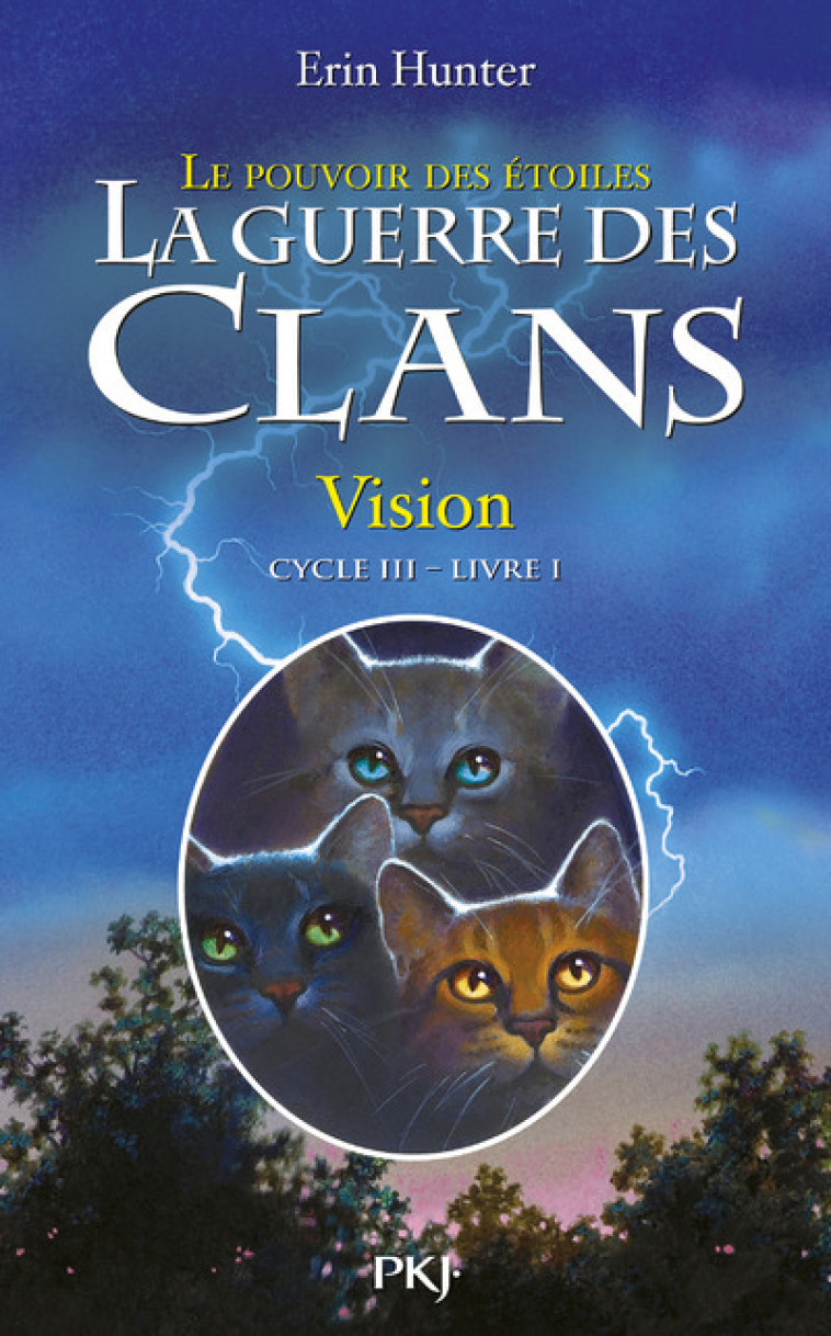 La guerre des Clans cycle III Le pouvoir des étoiles - tome 1 Vision - Erin Hunter - POCKET JEUNESSE