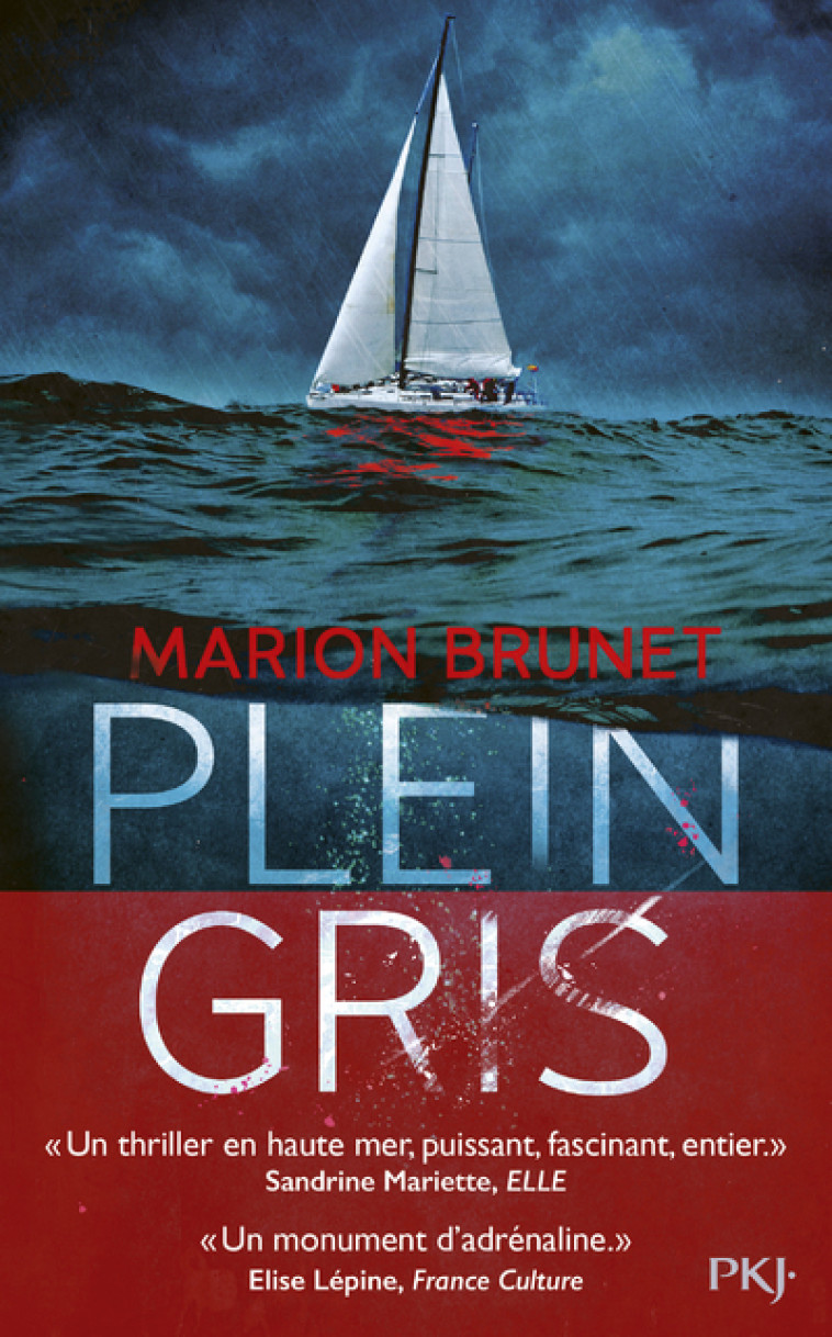 Plein Gris - Marion Brunet - POCKET JEUNESSE