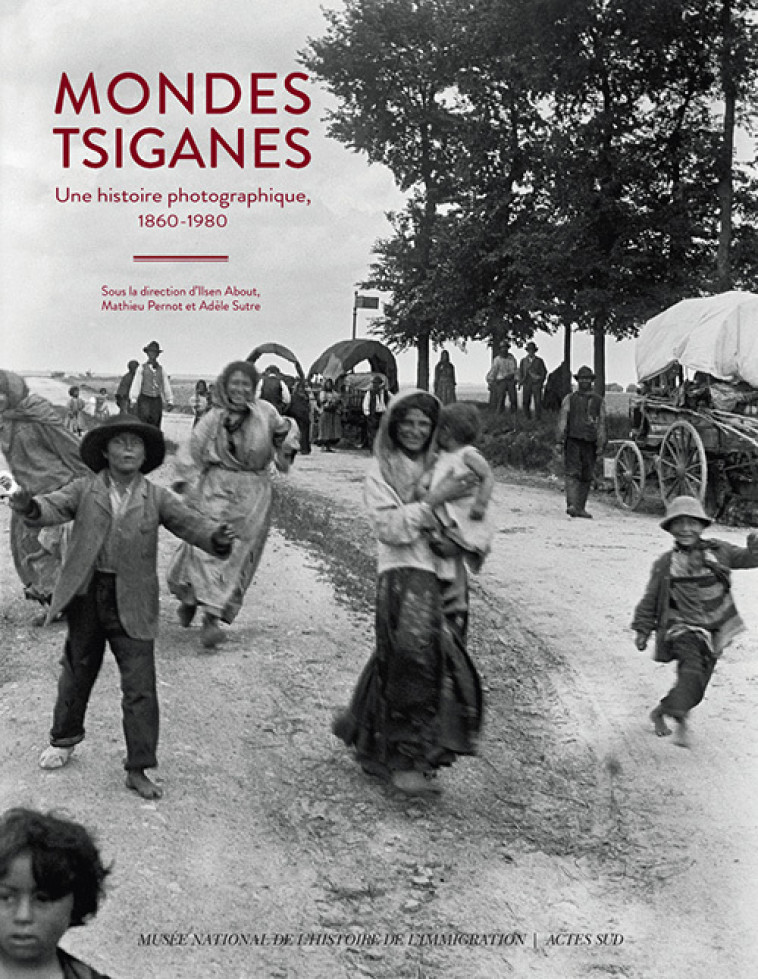 Mondes tsiganes -  Collectif - ACTES SUD