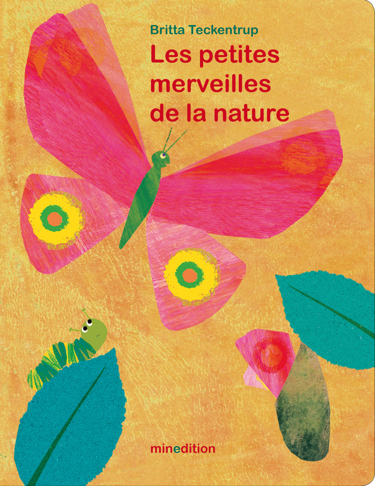 petites merveilles de la nature -  Teckentrup b. - MINEDITION