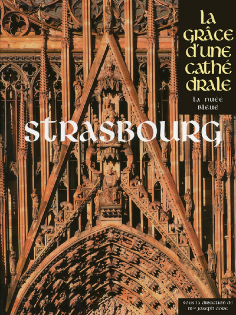 Strasbourg - La Grâce d'une Cathédrale -  Collectif - LA NUEE BLEUE