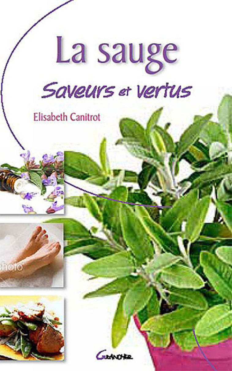 La sauge - Saveurs et vertus - Elisabeth Canitrot - GRANCHER