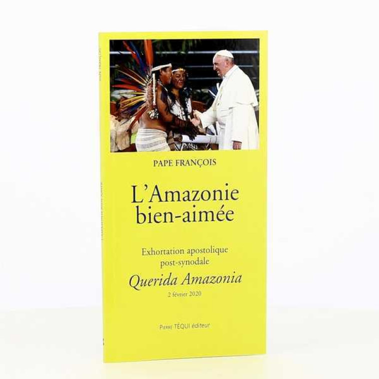 L'Amazonie bien-aimée -  François - TEQUI