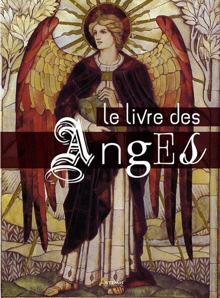 Le livre des anges - Pablo Martín Ávila - ARTEMIS