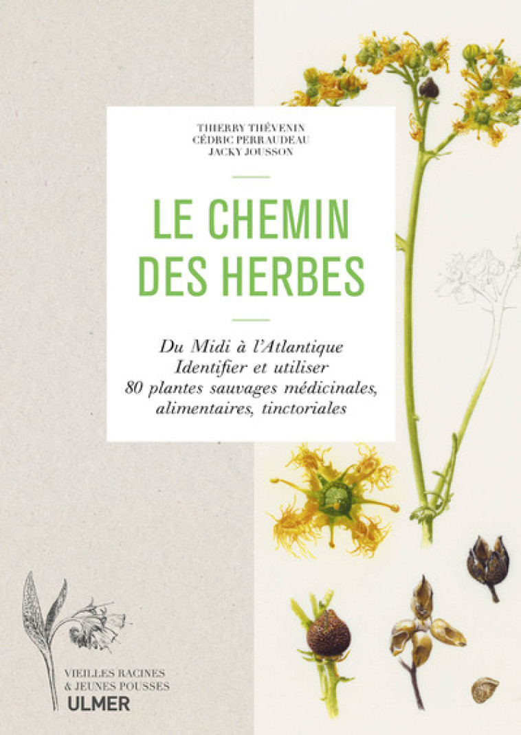 Le chemin des herbes - Du Midi à l'atlantique - Thierry Thevenin - ULMER