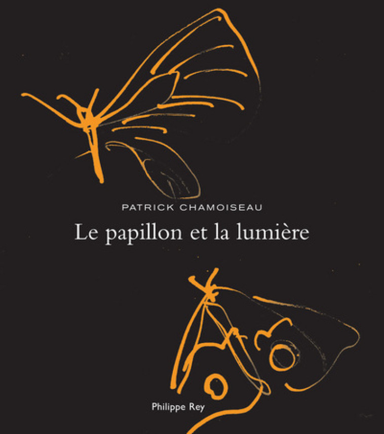 Le Papillon et la lumière - Patrick CHAMOISEAU - REY