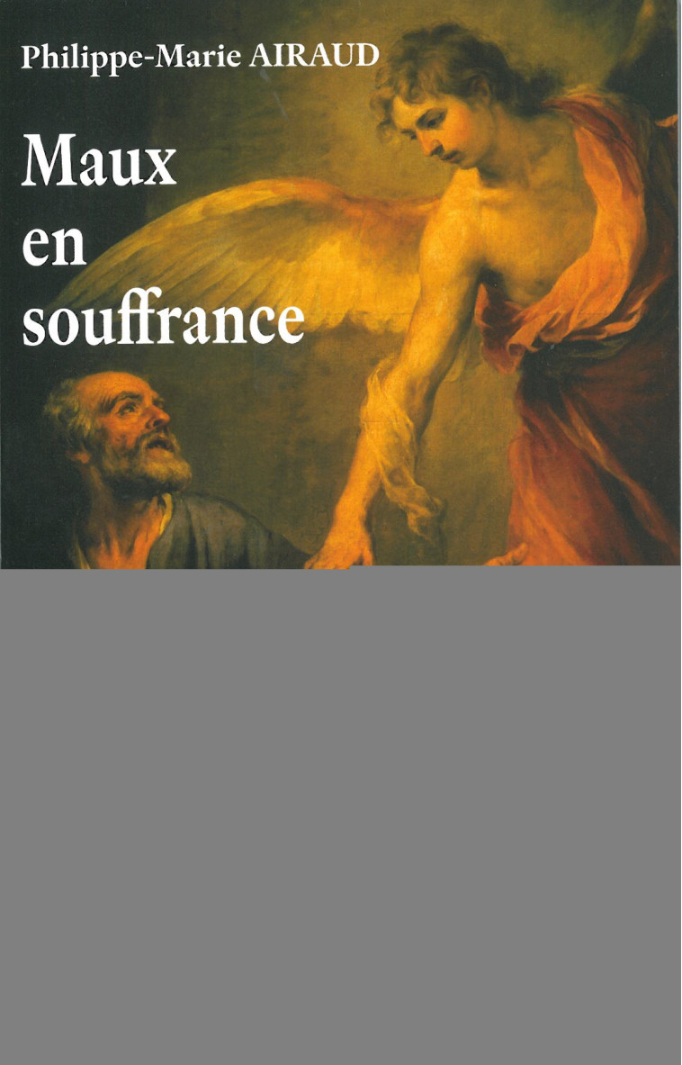 Maux en souffrance -  Abbé Marie Philippe Airaud - MARTIN MORIN