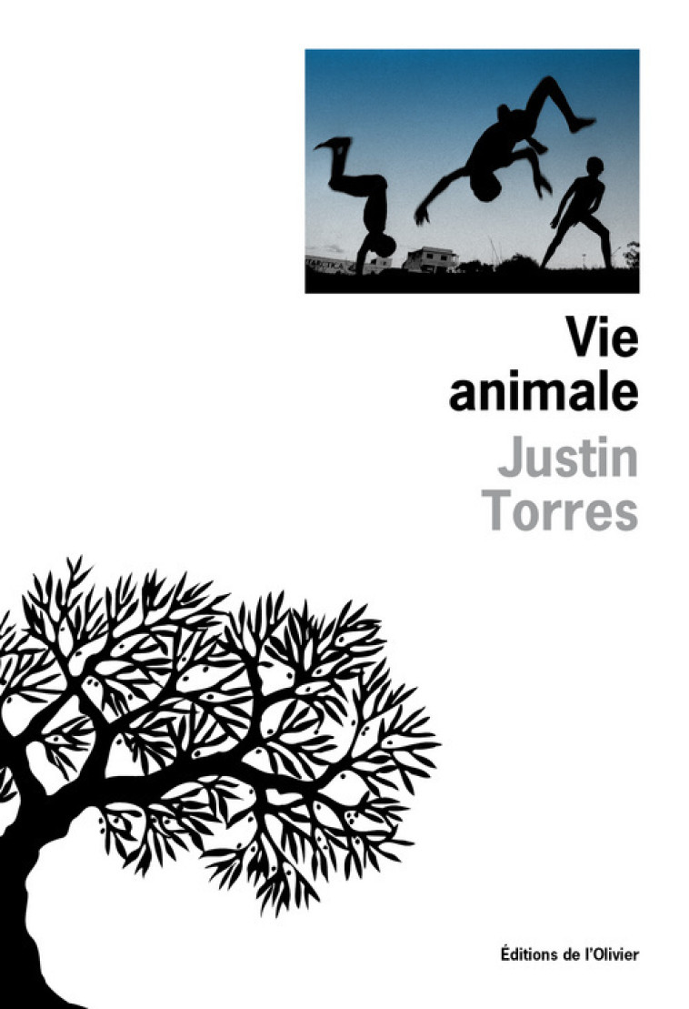 Vie animale - Justin Torres - OLIVIER