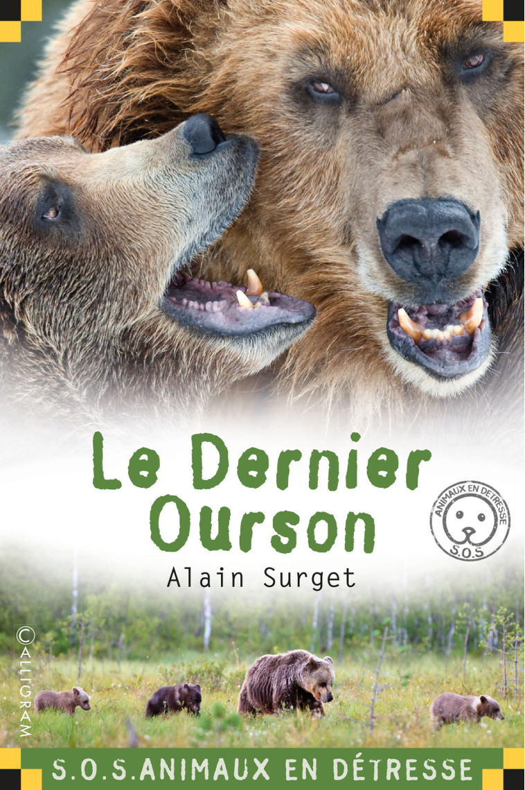 Le dernier ourson - Alain Surget - CALLIGRAM