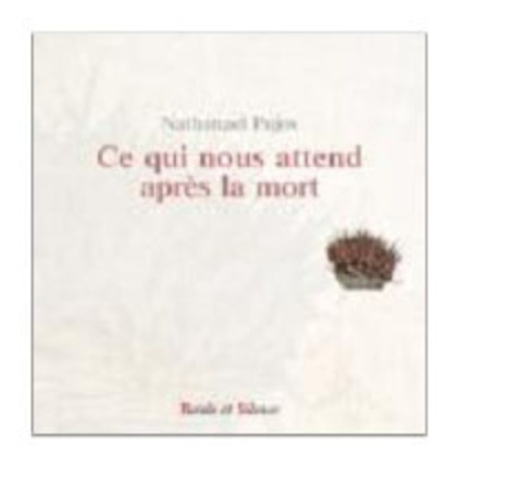 Ce qui nous attend apres la mort - Nathanaël Pujos - PAROLE SILENCE