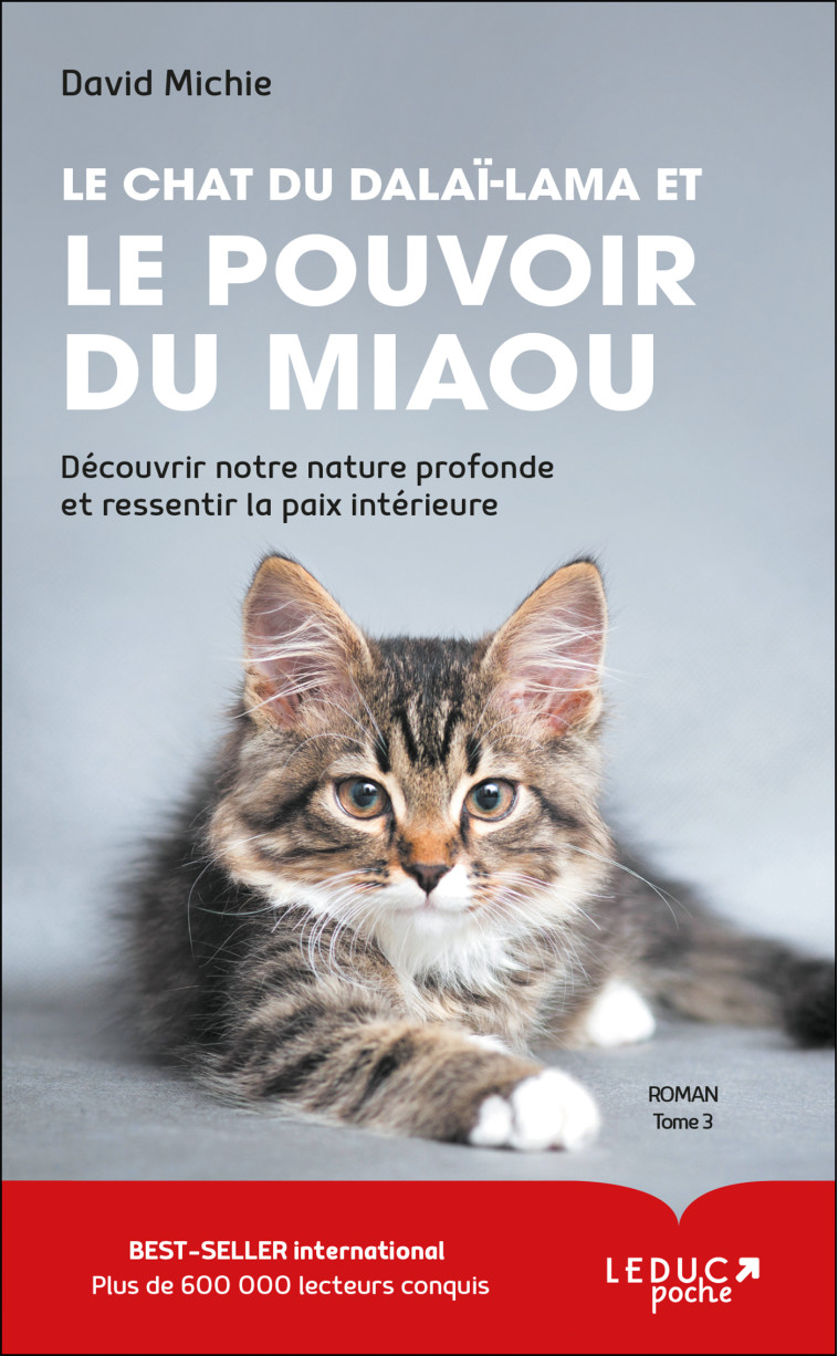 Le chat du Dalaï-Lama et le pouvoir du miaou (tome 3) - David Michie - LEDUC