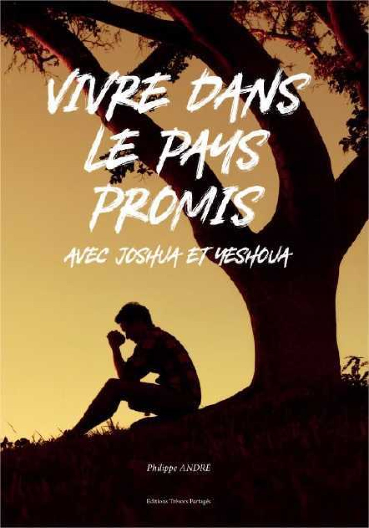 Vivre dans le pays promis - Philippe André - TRESORS PARTAG