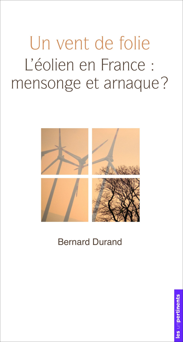 Un vent de folie - Bernard Durand - UNPERTINENTS